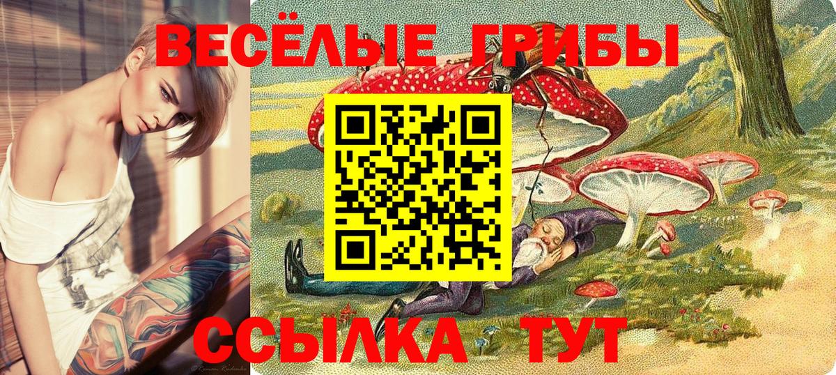 Галлюциногенные грибы Psilocybine cubensis Кириши