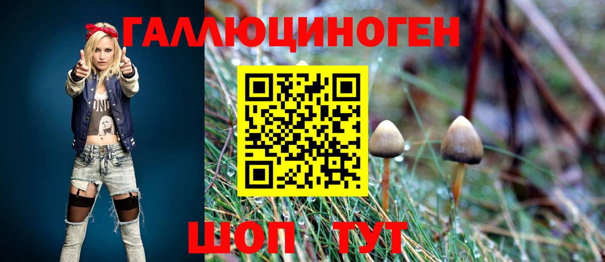 Галлюциногенные грибы Psilocybe  Псилоцибиновые грибы MAGIC MUSHROOMS  Вход с VPN  купить   Кириши 